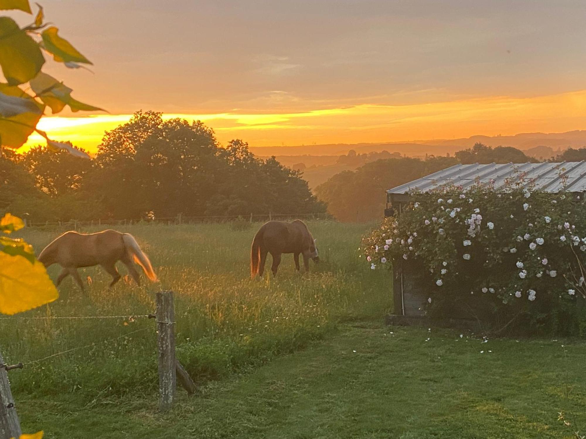 Logement Entier De Charme, Gite Equestre Gers Flamarens エクステリア 写真