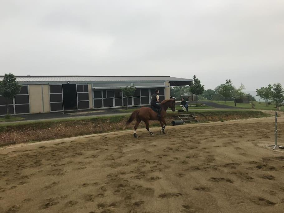 Logement Entier De Charme, Gite Equestre Gers Flamarens エクステリア 写真