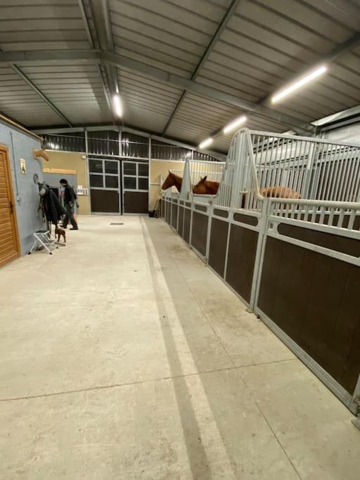 Logement Entier De Charme, Gite Equestre Gers Flamarens エクステリア 写真